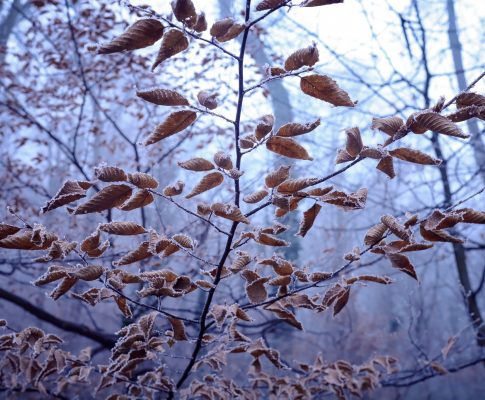 The darker the night, the brighter the stars; the deeper the grief, the closer is God!