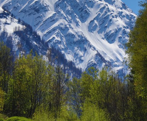 In the Alps
